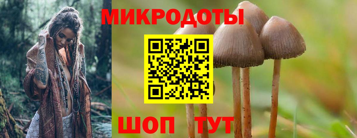 Менделеевск  Галлюциногенные грибы Psilocybine cubensis  Вход с VPN 